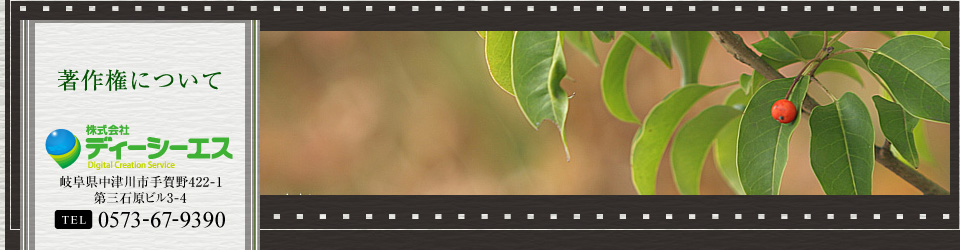 著作権について